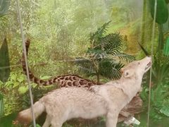 -下渚湖国家湿地公园科普馆