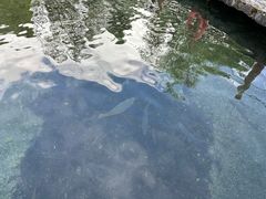 -丽江玉水寨