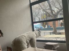 -漆黑觉米粉(三里屯店)