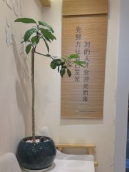 -可樱汇·美容洗发SPA