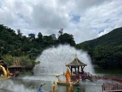 -西双版纳原始森林公园