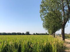 -衢州人家私房菜(中沙金座店)