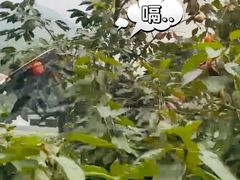 -不止轰趴独栋别墅户外烧烤(颐西庄园店)