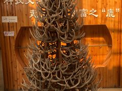 -北京鹿世界主题园