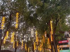 -祥源·阜阳生态乐园