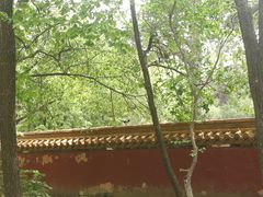 -沈阳市东陵公园