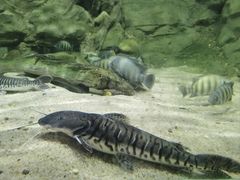 -常州海昌海洋探索馆