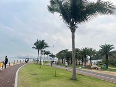 -野狸岛