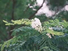 -廊坊文化艺术中心