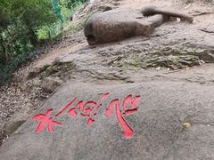 -上海佘山国家森林公园西佘山园