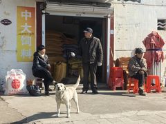 -崇仁古镇