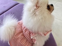 -怪兽屋·羊驼·猫咖·狗咖(俊华广场店)