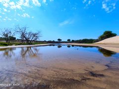 -塞罕坝国家级自然保护区