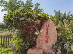 -亚龙湾国际玫瑰谷