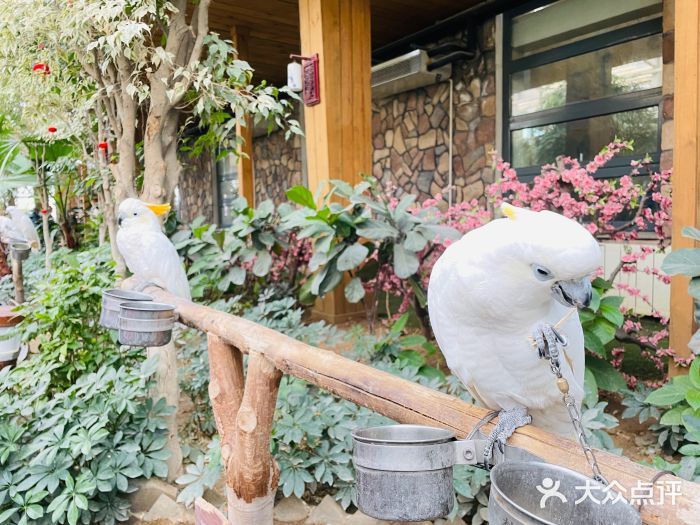 南宫五洲植物乐园图片