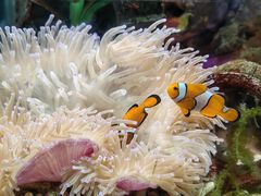 -太平洋海底世界