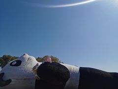-苏州太湖国家湿地公园