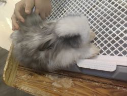 -未来动物城主题公园(正弘城店)