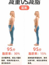 -Fundi张玉珊修身堂·indiba·BTL科技瘦身
