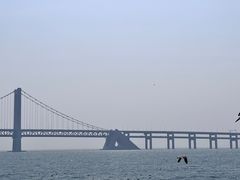-星海广场