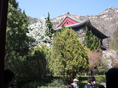 -青岛崂山太清宫