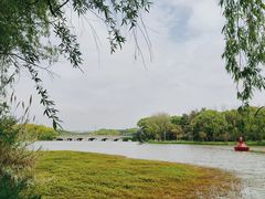 -昆山城市生态森林公园