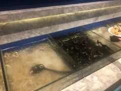 -火锅岛潮牌自助餐厅(天津天佑城店)