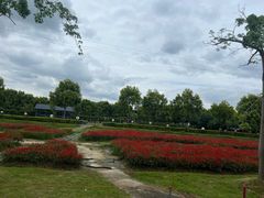 -广东花都香草世界旅游度假区