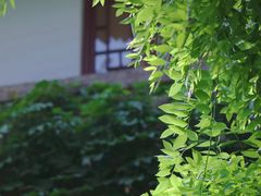 -西安博物院