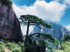 -黄山风景区