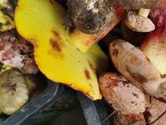 -双喜农庄·菌香园(安居家园店)