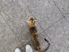 -海口骑楼小吃街