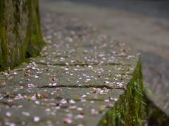 -安溪清水岩