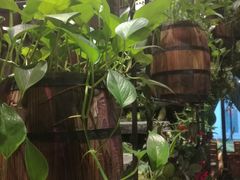 -范设计花园餐酒咖·中西餐·咖啡厅·酒馆