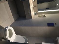 都江堰中心智选假日酒店-都江堰中心国际酒店