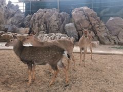 -八景休閒山莊  廣東十大名山莊