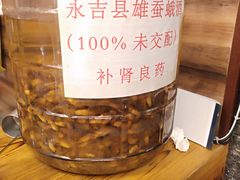 -英子补身汤(海兰路店)