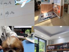 -宠福鑫动物医院(望京分院)