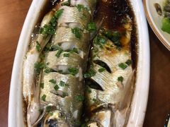 清蒸鲜白鱼-西新饭店(城中店)
