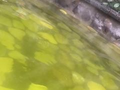 -杭州第一世界大酒店·云曼温泉