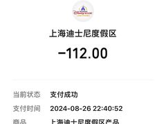 -迪士尼乐园停车场