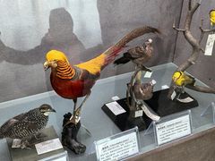 -吉林省自然博物馆