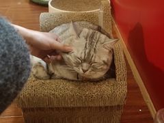 -H立方实景剧情密室(天河旗舰店)