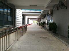 -奥林匹克体育中心游泳馆