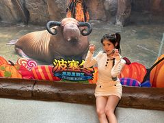 -哈尔滨波塞冬海底世界
