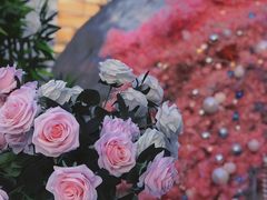 -天空花园餐吧·生日·团建(南山店)