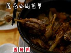姜母鸭-莲花公园煎蟹(总店)