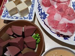 -东镇老火锅(长春路首店)