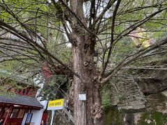 -大慈岩风景区
