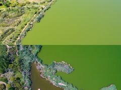 -亿利库布其七星湖沙漠生态旅游区